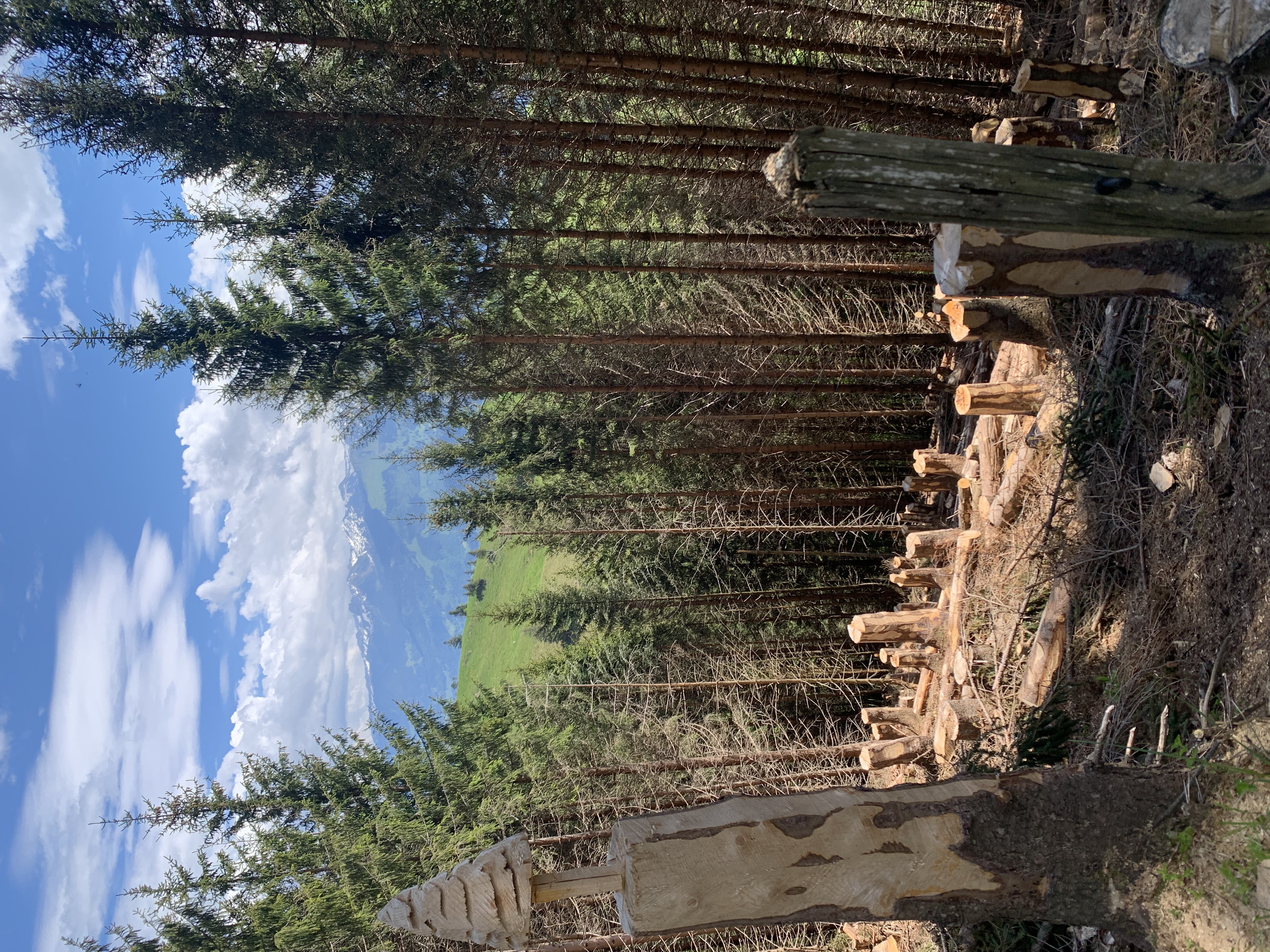 Bergstrasse2019 1