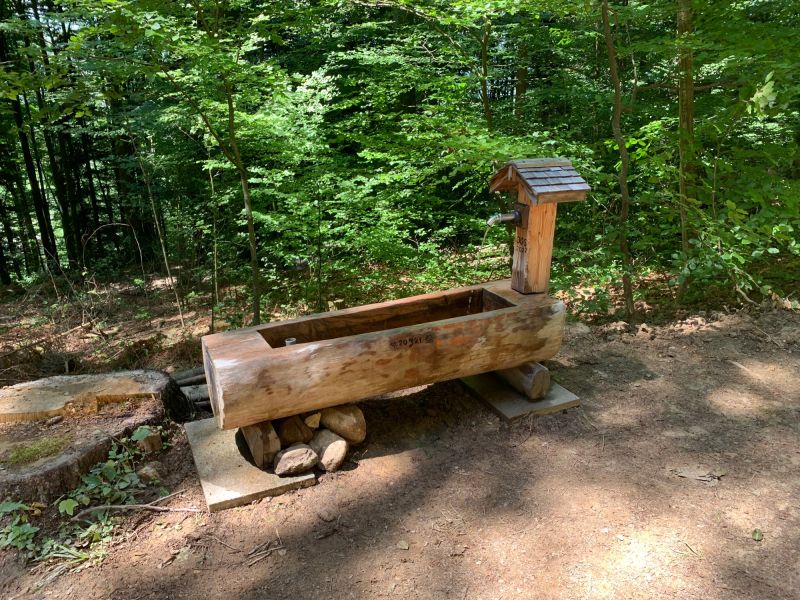 brunnen buholz