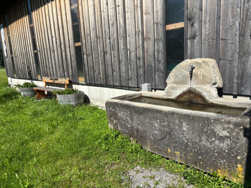 brunnen forrenschopf