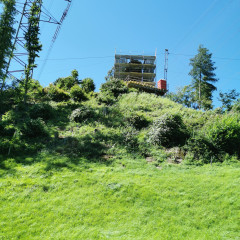 img 20200612 154837 resized 20200612