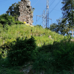 ogs img 20200603 085041 resized 20200603